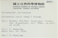 登錄號:B00004931藏品圖，第2張