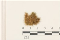 登錄號:B00004934藏品圖，第1張