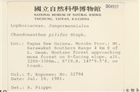 登錄號:B00004937藏品圖，第2張