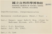 登錄號:B00004941藏品圖，第2張