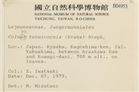 登錄號:B00004953藏品圖，第1張