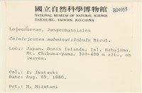 登錄號:B00004955藏品圖，第2張