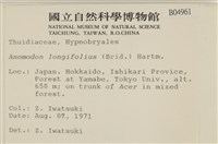 登錄號:B00004961藏品圖，第2張