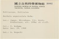 扭口蘚藏品圖，第2張