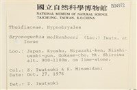 毛羽蘚藏品圖，第2張