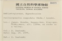 大濕原蘚藏品圖，第2張