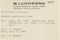 扭口蘚藏品圖，第2張