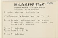 登錄號:B00004984藏品圖，第2張