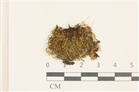 登錄號:B00004984藏品圖，第1張