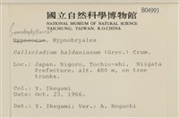 腐木蘚藏品圖，第2張