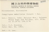 登錄號:B00005002藏品圖，第2張