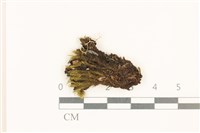 登錄號:B00005002藏品圖，第1張