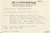 齒邊廣萼苔藏品圖，第2張