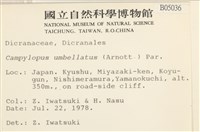 登錄號:B00005036藏品圖，第2張