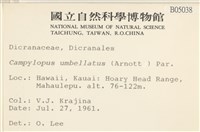 登錄號:B00005038藏品圖，第2張