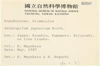 登錄號:B00005047藏品圖，第2張