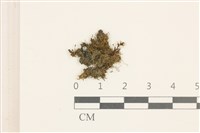 登錄號:B00005048藏品圖，第1張