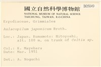 登錄號:B00005049藏品圖，第2張