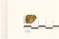 登錄號:B00005067藏品圖，第1張