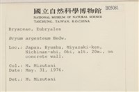 真蘚藏品圖，第2張