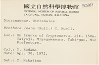 登錄號:B00005083藏品圖，第2張