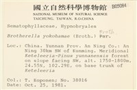 登錄號:B00005084藏品圖，第2張