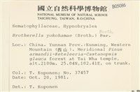 登錄號:B00005086藏品圖，第2張