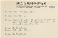 壺苞苔藏品圖，第2張