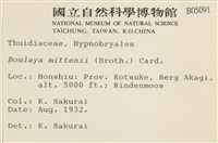 蟲毛蘚藏品圖，第2張