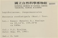 登錄號:B00005095藏品圖，第2張