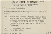 登錄號:B00005097藏品圖，第2張