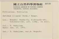 登錄號:B00005100藏品圖，第2張