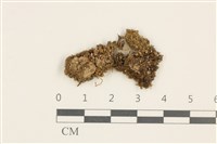 登錄號:B00005100藏品圖，第1張