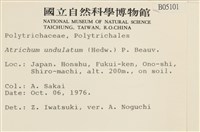 仙鶴蘚藏品圖，第2張