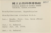 溪邊青蘚藏品圖，第2張