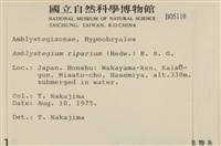 Accession Number:B00005118 Collection Image, Figure 2, Total 2 Figures