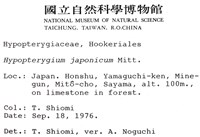 日本孔雀蘚藏品圖，第2張