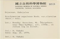 登錄號:B00005128藏品圖，第2張