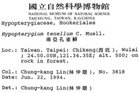 南亞孔雀蘚藏品圖，第2張