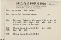 登錄號:B00005162藏品圖，第2張