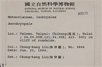 登錄號:B00005175藏品圖，第2張