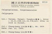 登錄號:B00005184藏品圖，第2張