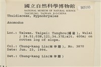 登錄號:B00005193藏品圖，第2張