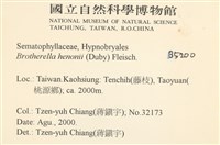 登錄號:B00005200藏品圖，第2張