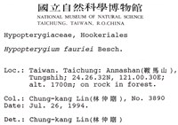 東亞孔雀蘚藏品圖，第2張