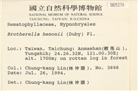 登錄號:B00005279藏品圖，第2張