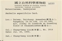 登錄號:B00005283藏品圖，第2張