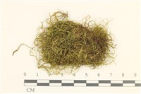 登錄號:B00005283藏品圖，第1張