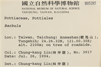 登錄號:B00005285藏品圖，第2張