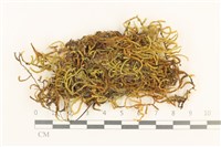 登錄號:B00005288藏品圖，第1張